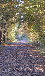 Rail Trail