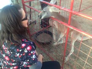 12063692_10153559990860622_4838584945960737021_n